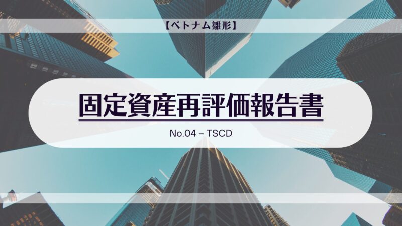 【ベトナム雛形】固定資産再評価報告書【No.04  – TSCD】